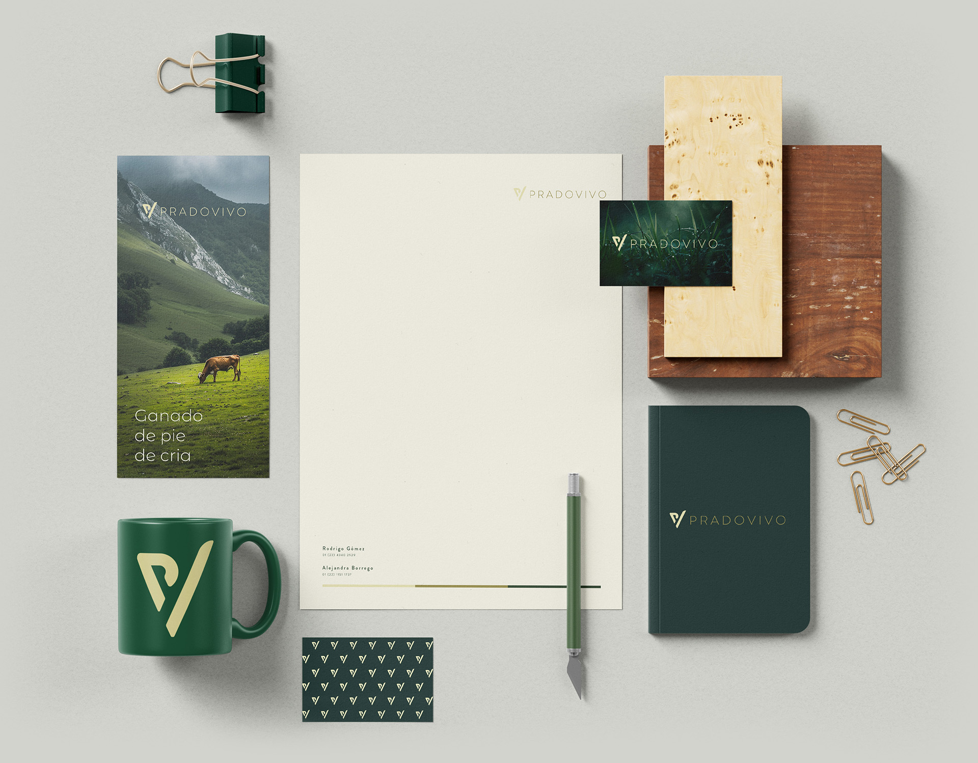 portafolio - mocuk branding